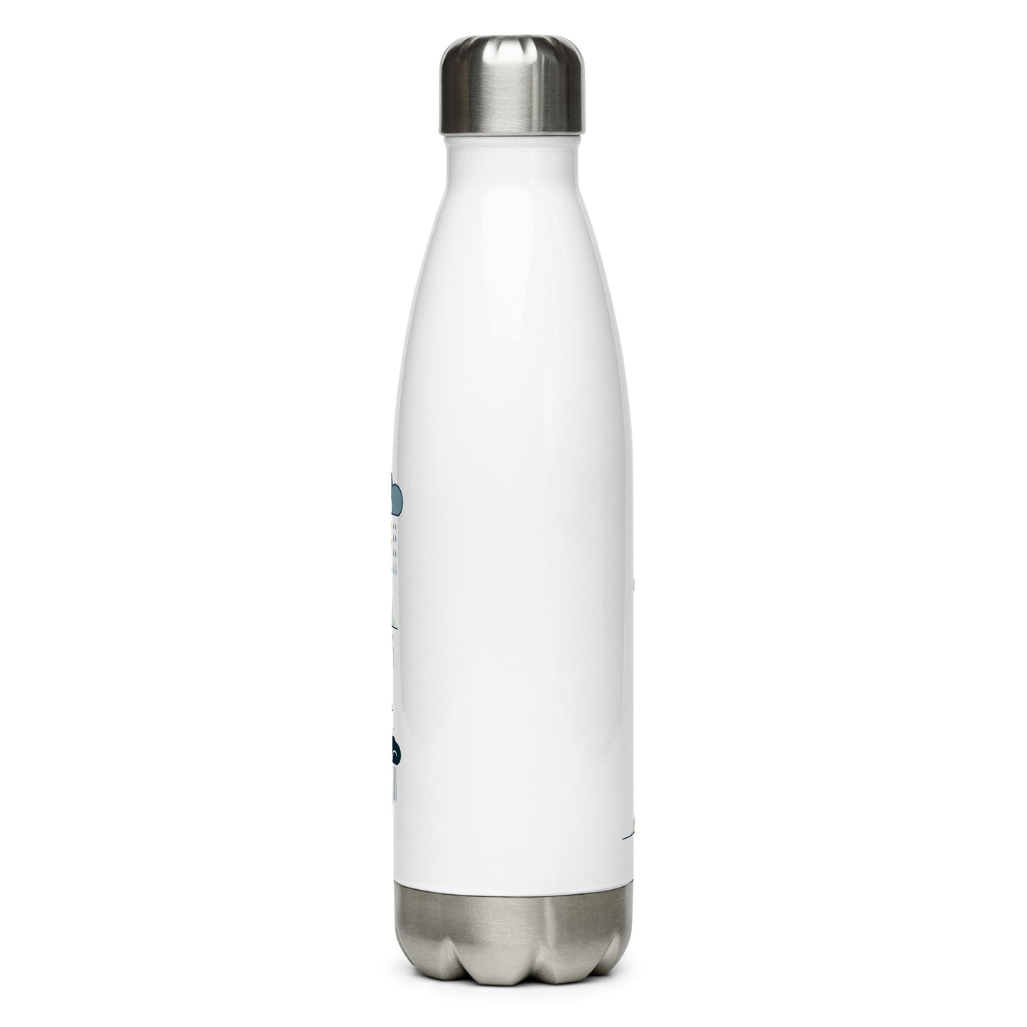 Stainless steel water bottle